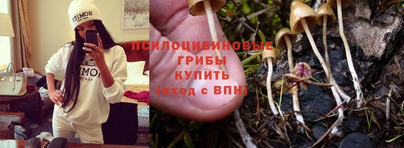 Галлюциногенные грибы MAGIC MUSHROOMS  как найти наркотики  Верхний Уфалей 